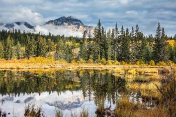 Jasper National Park in the Rocky Mountains of Canada. Patricia Lake. Adorable little lake surrounded by yellow and orange autumn grass and trees. Picturesque mountains and clouds are reflected in cold water
