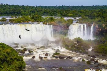 The fantastic roaring Iguazu Falls. Andean condors fly in the water dust. Huge complex of waterfalls Iguazu on the border of three countries. Concept of active and extreme tourism