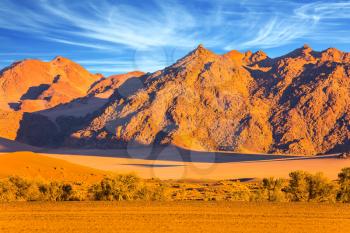 Sunset, Namibia. Purple and yellow mountains of the Namib desert. The concept of extreme and exotic tourism