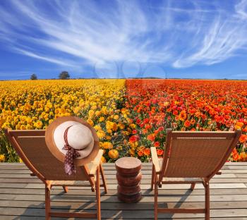 Pair of convenient  chaise lounge next to flower field. Elegant women's straw hat hanging on a deck chair.  Concept of recreational tourism