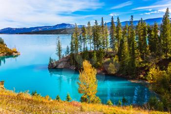 Abraham Lake is the most beautiful lake in the Rockies of Canada. Dense forests cover the lake shores. Warm sunny day in autumn, Indian summer. The concept of ecological and active tourism