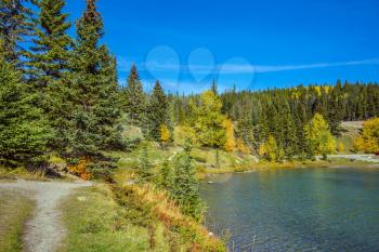 Coniferous forest grows on the shores of the lake. The morning sun warms the picturesque lake Two Jack with emerald water. The concept of ecological and active tourism