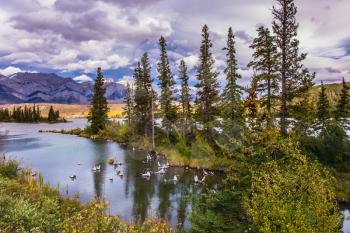 The valley along the Pocahontas road. Shallow-water lakes, picturesque firs and distant mountains. Lush clouds are reflected in the smooth water. Concept of active and ecological tourism