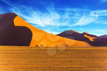 The most ancient in the world Namib Desert, South Africa. Sunset in the desert. The concept of extreme and exotic tourism