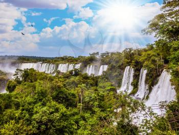  The tropical sun illuminates the seething water of waterfalls Iguazu. Basaltic ledges form the famous waterfalls. Argentina. The concept of active and exotic tourism