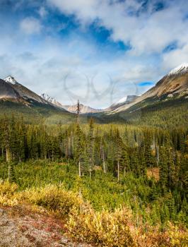 The concept of ecological and active tourism. The Rocky Mountains in Canada. Dense coniferous and deciduous forests at the foot of the mountains