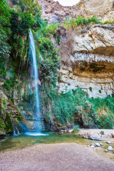  The magnificent falls Shulamit fall in a shallow pond with emerald water. Ein-Gedi - the reserve and national park of Israel