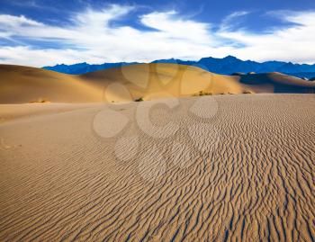 The small waves of yellow sand. Early morning  in a picturesque part of Death Valley, USA. Mesquite Flat Sand Dunes