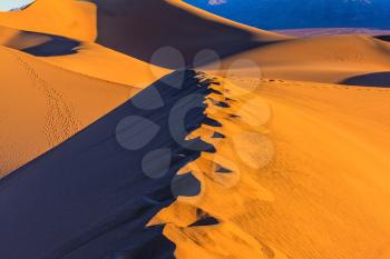  Sandy Desert in Mesquite Flat, USA. Along the edge of the sand dunes is a chain of deep tracks