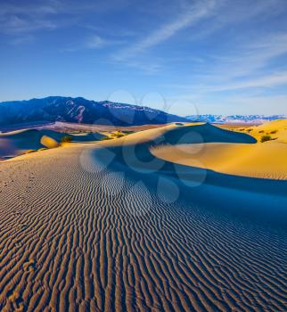 Small ripples of sand orange. Early morning.  Death Valley, Mesquite Flat Sand Dunes