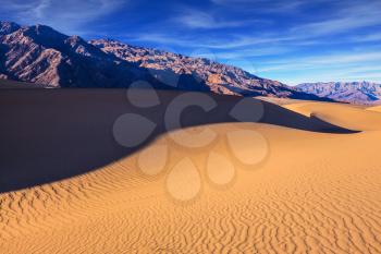 Mesquite Flat Sand Dunes. Bright solar morning in picturesque part of Death Valley. Slopes of sandy barkhans shine orange light. Deep shadows in flat hollows