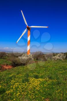 Flowers to the Golan heights in spring day. Huge modern windmill