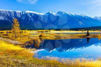 Sunny autumn day in the Rocky Mountains of Canada. The water of fantastic Abraham lake reflects mountains and trees. The concept of ecological and active tourism