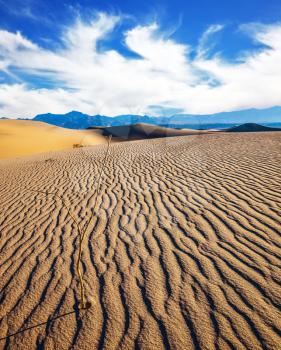  Mesquite Flat Sand Dunes. Early morning  in a picturesque part of Death Valley, USA. Small ripples on sand dunes