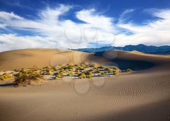 The windy morning in the desert. Gentle ripples on sand dunes. Hot autumn in Death Valley, California