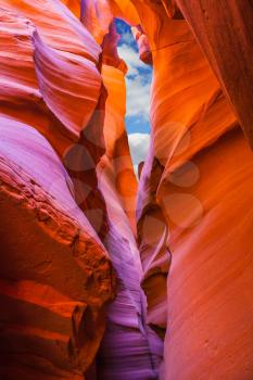 Upper Antelope Canyon in the Navajo reservation. Bright red and orange colored clay covered delightful magical light. Arizona, USA