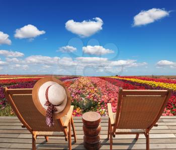 Two chaise lounges for rest stand on a scaffold at a picturesque flower field. On one chaise lounge the elegant straw hat hangs. Spring buttercups grow multi-colored strips