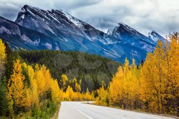  The concept of active and automobile tourism. The astonishing nature of the Rockies of Canada. The road 93 Icefields Parkway passes among the snow-capped mountains