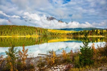 Charming Patricia Lake amongst the evergreen forests, yellow bushes and mountains. Autumn in Jasper Park