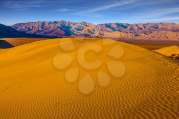  Early morning  in a picturesque part of Death Valley, USA. Small ripples of sand orange. Mesquite Flat Sand Dunes