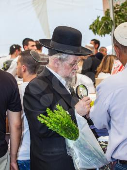 JERUSALEM, ISRAEL - OKTOBER 8, 2014: Traditional market before the holiday of Sukkot. Orthodox Jew with a white beard in a black hat chooses citrus - etrog