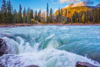 Powerful and scenic Athabasca Falls. Emerald water roars and foams on steep slope. Canada, Jasper National Park