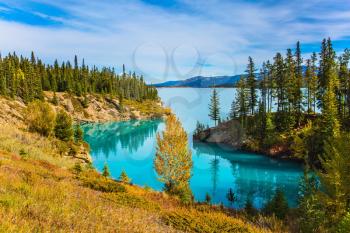 Warm sunny day in autumn, Indian summer in Canada. Abraham Lake is the most beautiful lake in the Rockies. Dense forests cover the lake shores. The concept of ecological and active tourism