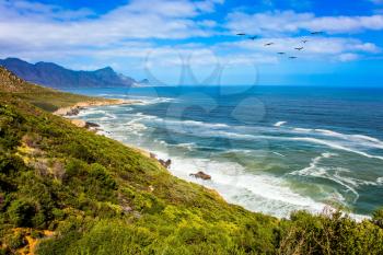 Triangular flock of migratory birds over the surf. Place where two oceans meet. Journey to the southern edge of the world. Mysterious South Africa. The concept of extreme and exotic tourism 