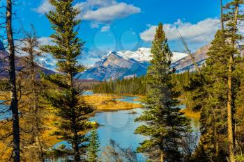 Warm September in the mountains of Canada. On the shores of the Abraham lake there are autumn multicolored forests. Concept of ecological and active tourism