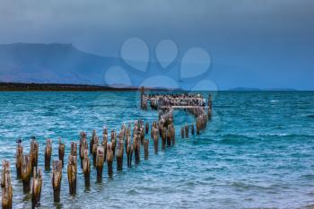 Strait of Magellan summer February afternoon. Waterfront, Punta Arenas.  Piles of the destroyed mooring act from water