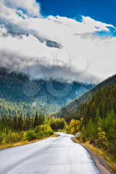 The road leaves afar. Canadian Rockies. Fine September day. The highway passes among mountains and the turned yellow woods
