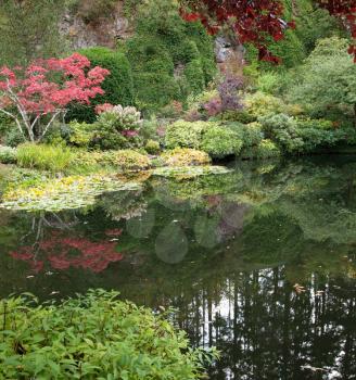 In small pond reflected trees and flowers. Delightful landscaped and floral park Butchart Gardens on Vancouver Island