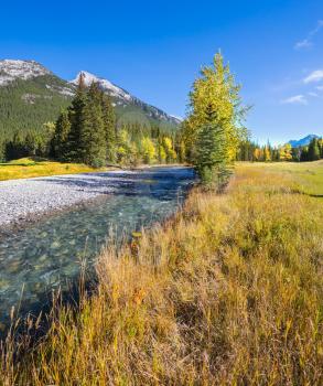 Sunny autumn day in the Rocky Mountains of Canada. The drying-up stream in the mountain valley park Banff