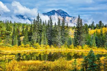 Warm autumn day in Jasper Park, Canadian Rockies. Lake amongst the evergreen forests, yellowed shrubs and distant mountains