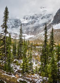 Cold start of autumn in Jasper Park. Snow fell in September. Mount Edith Cavell and Angel Glacier