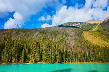 The emerald-green lake surrounded by a pine forest. Magic mountain  Emerald lake  in Canada 