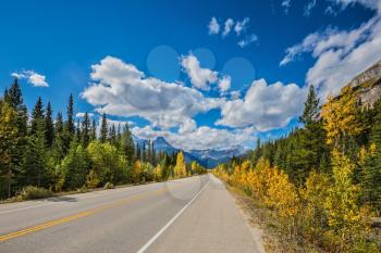 Great Banff. Travel to the Bow River Canyon in September. Excellent highway and surrounded by autumnal woods.  Canadian Rockies, Banff National Park in the autumn