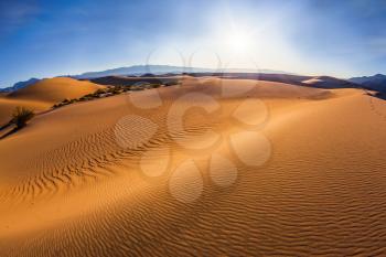 Gentle ripples on sand dunes. Hot and windy morning in the desert. Hot autumn in Death Valley, California