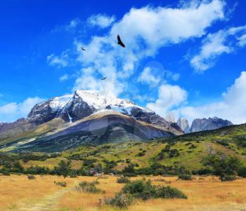 National Park Torres del Paine, Chile. Snow-capped mountains and rocks Torres del Paine. Yellowed autumn field, Patagonia