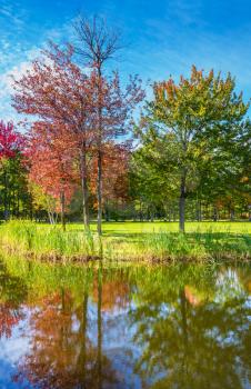 Park fantastic beauty. Red and green autumn foliage reflected in clear water of the lake. Shining sunny day in French Canada. Concept of recreational tourism