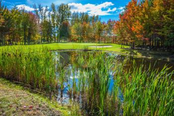 Concept of recreational tourism. Shining day in French Canada. Adorable pure pond overgrown with reeds. Autumn foliage reflected in clear water of the pond