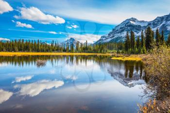 Autumn in Canada. Shallow marshy lake in the Rocky Mountains. The mountains are covered with snow.  The concept of ecotourism