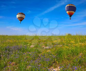 Flowering Golan Heights on a sunny day. In a clear sky flying two huge and beautiful balloons