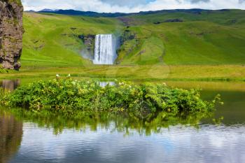 In the middle of the pond picturesque flower beds. Impressive waterfall Skogafoss reflected in a small pond. Fantastic reflection