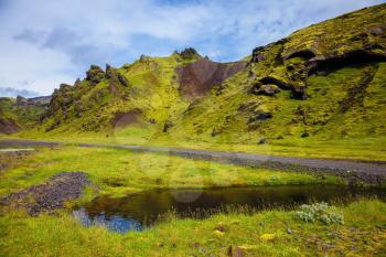  Picturesque basalt hills overgrown green grass and polar moss. On bottom of canyon many streams flow. Canyon Pakgil in Iceland