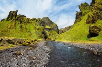 Pakgil Canyon - green grass and moss on rocks. At the bottom of canyon flows small creek fast. Summer blooming Iceland
