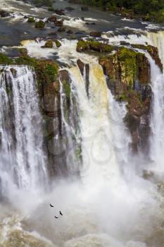 The fantastic roaring Iguazu Falls. Andean condors fly in the water dust. Concept of active and extreme tourism. Huge complex of waterfalls Iguazu on the border of three countries