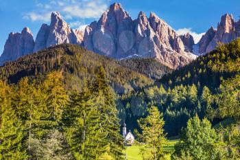  The valley Val di Funes - church of Santa Maddalena. Rocky peaks and forested mountains surrounded by green Alpine meadows. Sunny day in  Dolomites