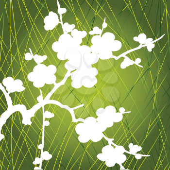 Royalty Free Clipart Image of White Flowers on a Green Background With Green Slashes of Colour