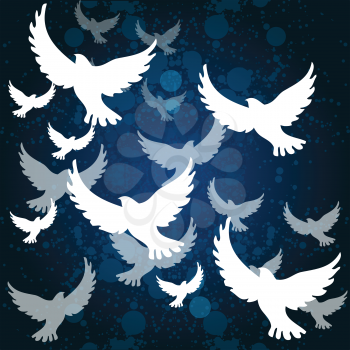 blue background with white birds